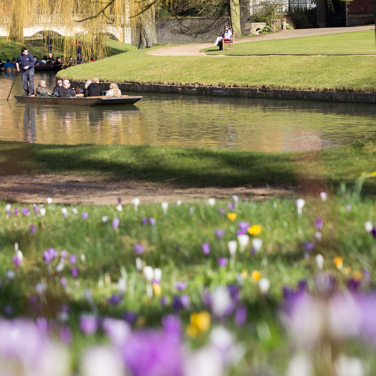 Spring on the Cambridge College Backs