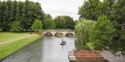 Afternoon Tea Punting