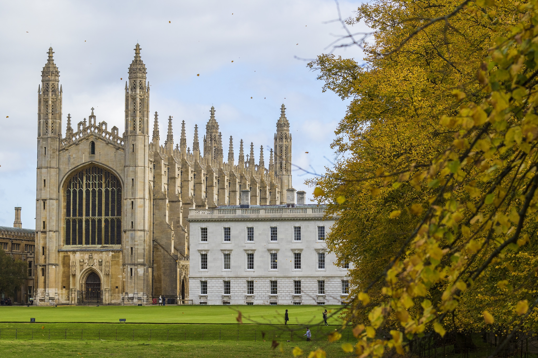 Leaves falling in Cambridge
